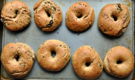 Bagel Bites Dunkin Donuts Recipe | IUCN Water