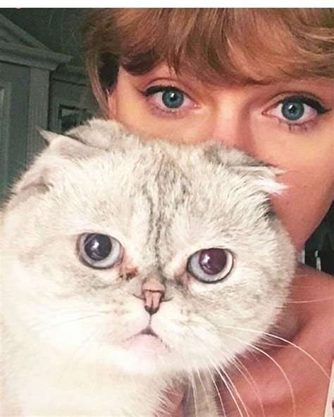 Taylor Swift Cats Names