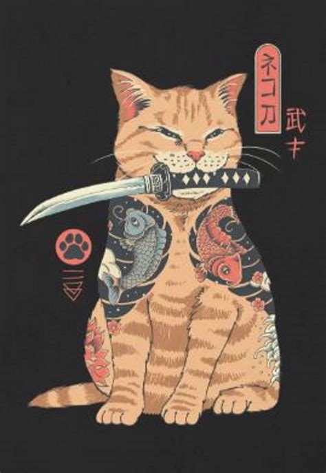 Cat Samurai Wallpapers - Top Free Cat Samurai Backgrounds - WallpaperAccess