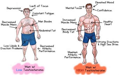 5 Benefits of Naturally Boosting Your Testosterone - ProgressiveMuscle.com