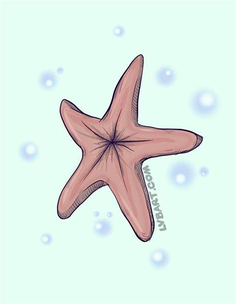 Chocolate Starfish Tattoo