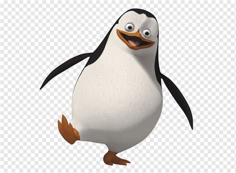 Rico Skipper Penguin Kowalski Madagascar, Penguin, png | PNGWing