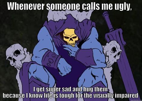 Twenty-Six Sassy Skeletor Memes And Moments | Skeletor quotes, Skeletor, Really funny pictures