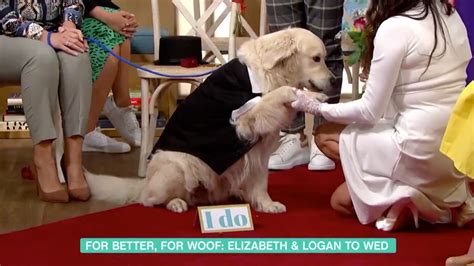 A woman married her dog on live TV, but it's fun and not creepy, we think?