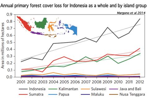 Despite moratorium, Indonesia now has world's highest deforestation rate