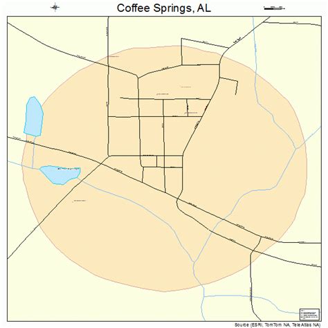 Coffee Springs Alabama Street Map 0116240