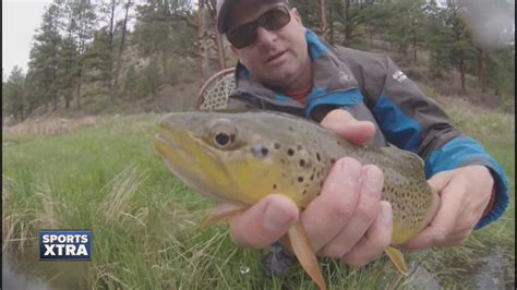 Fly fishing in Cheesman Canyon - YouTube