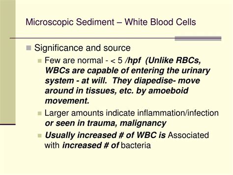 PPT - Microscopic Sediment – White Blood Cells PowerPoint Presentation - ID:358776