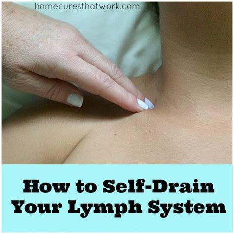 The lymph system is crucial for maintaining a strong immune system, for ...