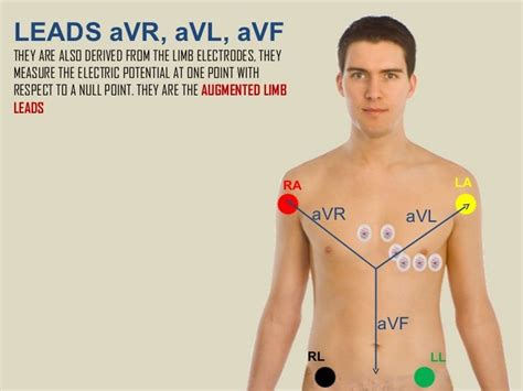 12 Lead Ecg Simulator Circuit Diagram