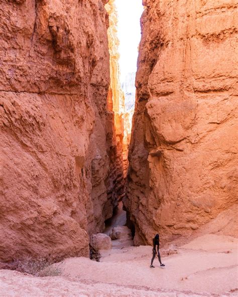 Navajo Loop Trail in Bryce Canyon - EVERYTHING you need to know!