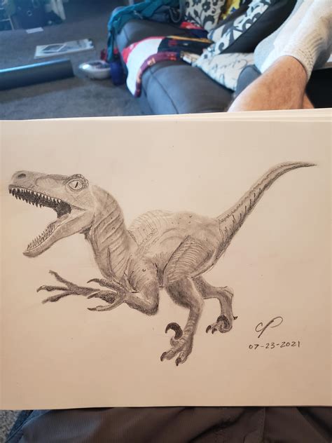 Jurassic Park velociraptor drawing. (I can acknowledge the scientific ...