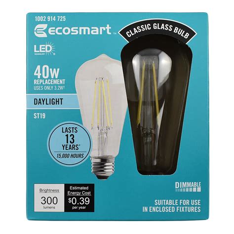 EcoSmart 40-Watt Equivalent ST19 Dimmable Clear Filament Vintage Style LED Light Bulb Daylight ...
