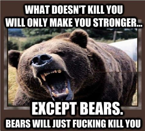 Pin by Bernard Jones on Funny Shit | Bear, Bear pictures, Bear jokes