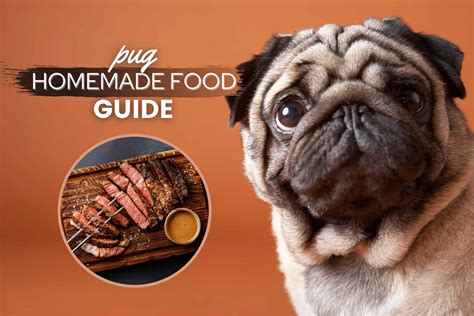 Pug Homemade Dog Food Guide: Best Recipes & Nutrition Advice - Canine Bible