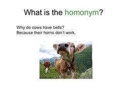 Homophone Puns