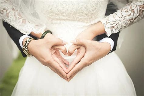 wedding, couple, romantic, arch, husband and wife, bride, love, marriage, the groom, husband ...