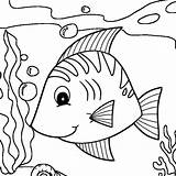 Beautiful Ocean Fish Coloring Pages  Mitraland sketch template