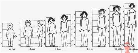 Image result for different age body proportions | Body proportions, Drawing body proportions ...