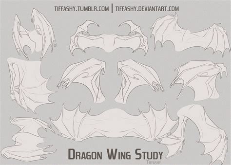 Dragon Wing Study/Tutorial by TIFFASHY on DeviantArt | Dragon sketch, Wings art, Wings sketch