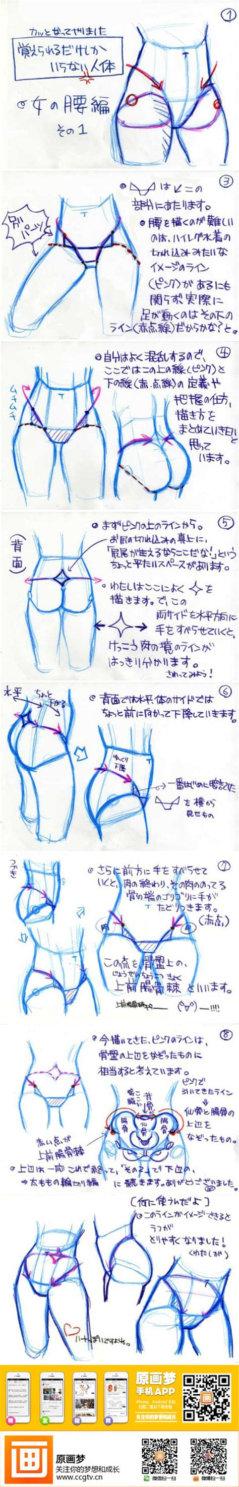 462 best images about Figure Drawing / Torso on Pinterest | Best animation, Human anatomy and Muscle