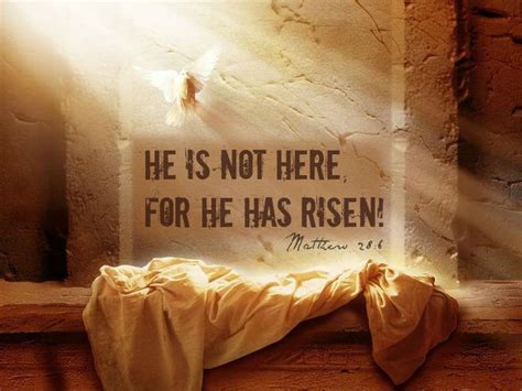 25 Resurrection Scriptures to Celebrate: He Has Risen! - Debbie McDaniel