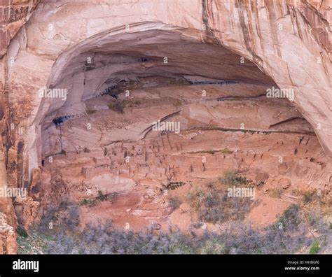 betatakin cliff dwellings in a large sandstone alcove on the navajo indian reservation near ...