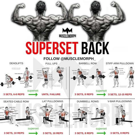 Idea by Rob Paul on Superset Workouts | Back workout bodybuilding, Back workout men, Weight ...