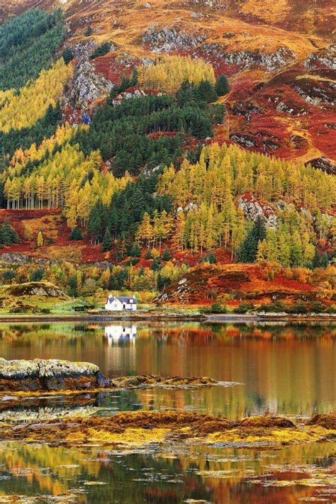 Autumn in the scottish highlands : pics