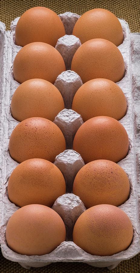 Brown Eggs In Carton Photograph by Steve Gadomski - Pixels