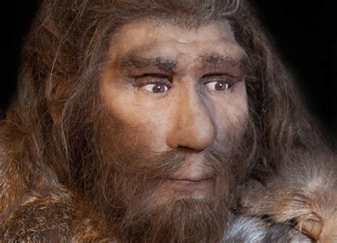 DNA Study Suggests Early Neanderthals Had Europe As Their Homebase | Ancient humans, Human ...