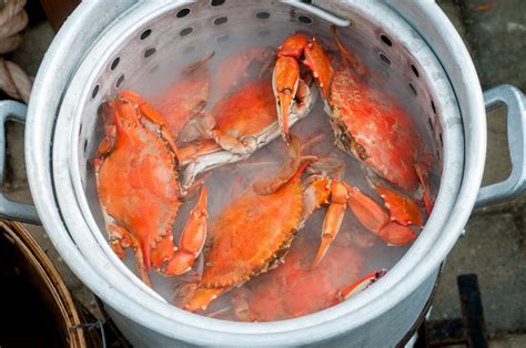 How To Steam Crabs Without A Steamer - Recipes.net