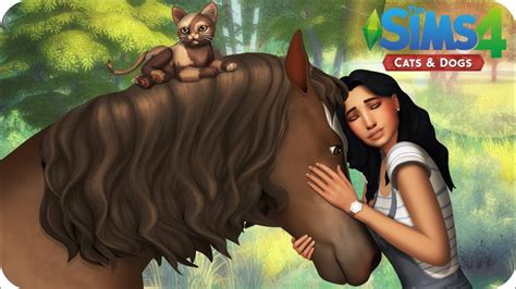 ANIMAL SHELTER | Sims 4 Cats And Dogs Letsplay | EP 7 - SQUIRREL ...