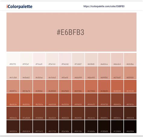 Pantone 14-1312 Tpx Pale Blush Color | Hex color Code #E6BFB3 information | Hsl | Rgb | Pantone