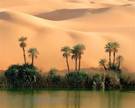 A Spectacular Desert Oasis in the Middle of the Sahara (10 pics ...