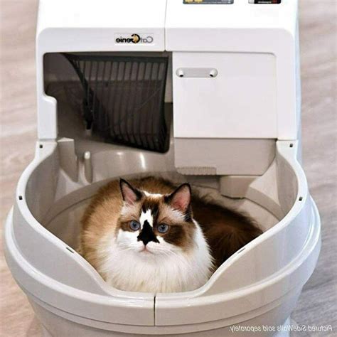 Self-Cleaning Litter Box Washes Dries Itself w/ Dome