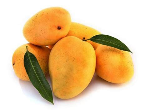 MANGO (HAPUS) MEDIUM – Dry Fruits Mandy