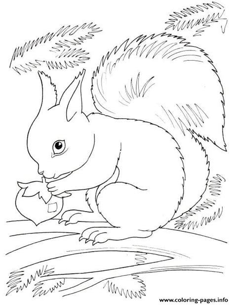 Squirrel Fall Coloring page Printable