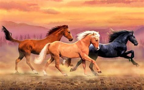 Australian Stock Horse Wallpapers - Wallpaper Cave