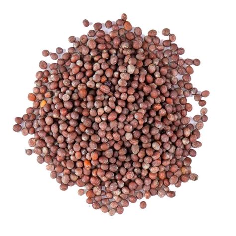 Red Mustard Seeds at Rs 450/kg | Red Mustard Seeds in Hisar | ID ...