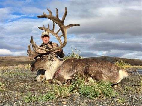 Brown Bear Hunting on the Alaska Peninsula | Alaska hunting, Caribou ...