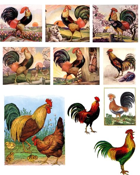 Free Printable Pictures Of Roosters - Free Printable