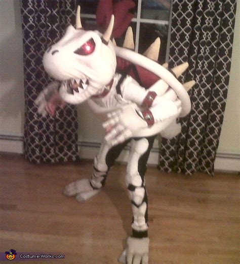 Dry Bowser Costume