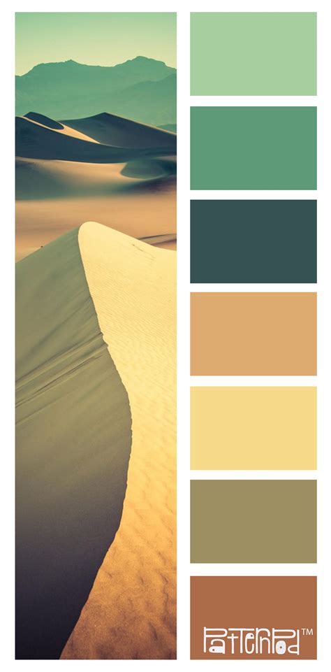 Desert Sun Color Palette Inspiration Western Color Pa - vrogue.co