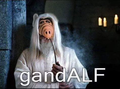 SimpleDisorder.com | Gandalf, Gandalf funny, Funny pictures