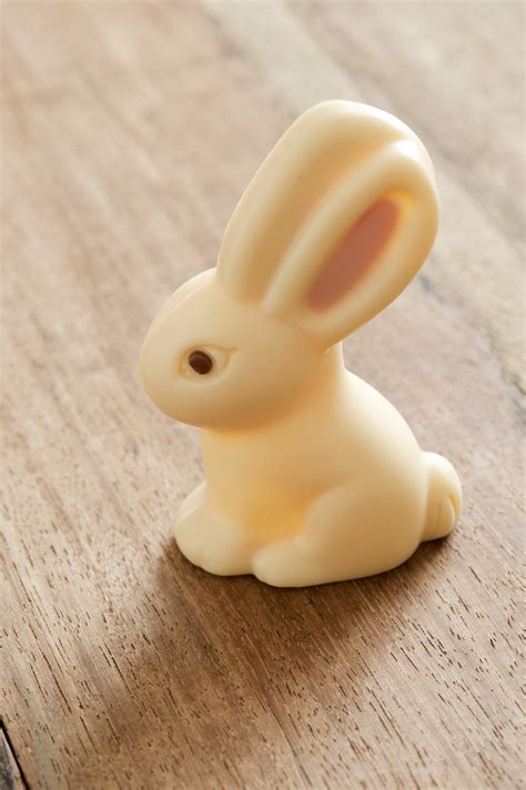 A single little white milk chocolate Easter bunny Creative Commons Stock Image
