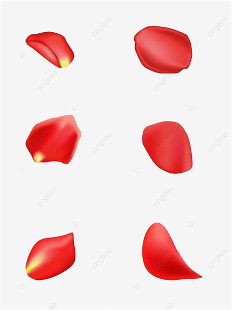 Red Rose Petals PNG Image, Petal Material Red Rose Ai Vector Element, Petal, Red, Material PNG ...