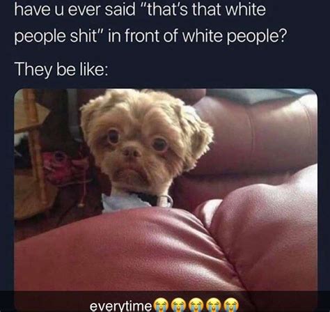 Frr tho it funny ash #whitepeopleshit #thatsthatwhitepeopleshit otepeopleshit #dogsofinstagram # ...