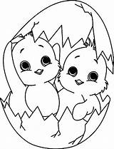 Chick Coloring Page  Best Pages For Kids sketch template