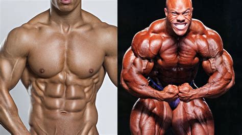 Is Testosterone A Steroid?: Difference Between Testosterone And Steroids - SpotMeBro.com